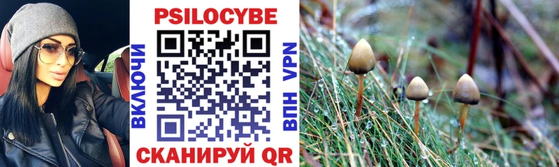 Псилоцибиновые грибы Psilocybine cubensis  маркетплейс формула  Кострома 